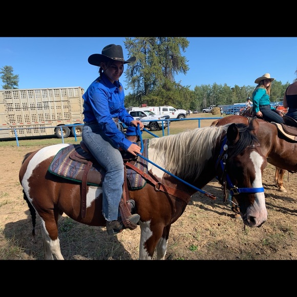 Saddle pad - Picture 5 of 5